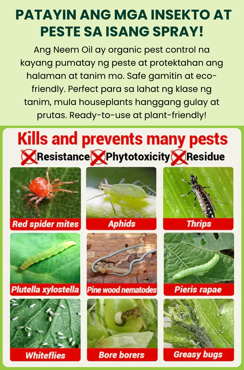 Neem Oil Spray Plants Insecticide Pesticide Refill 1 Liter 500ml 1 Gallon 3750ml